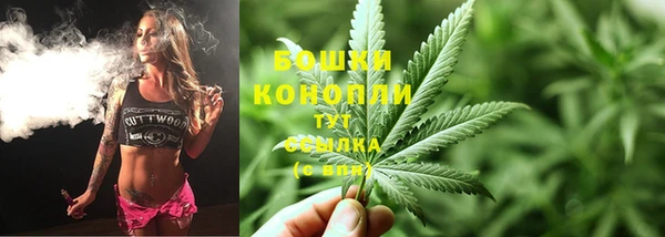 сатива Аксай