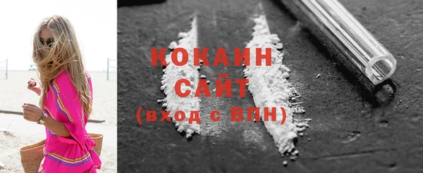 крисы Магас