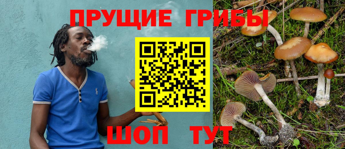 Белово  Псилоцибиновые грибы прущие грибы  Псилоцибиновые грибы мицелий  Вход с VPN 