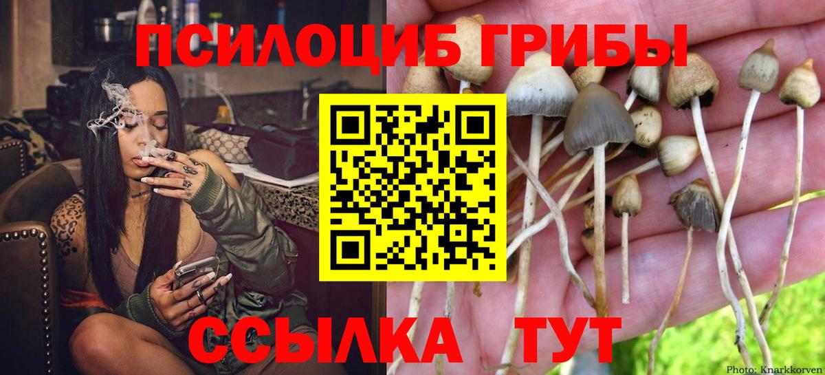 Галлюциногенные грибы мицелий Белово