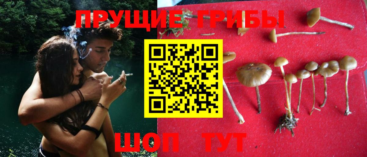 Марихуана  Канабис  Cocaine  МЕФ   А ПВП СОЛЬ кристаллы  COCAIN  МЕФ кристаллы  Белово  Гашиш 