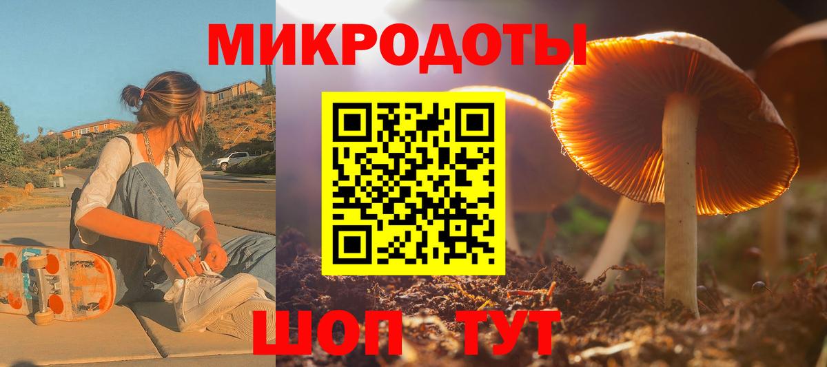 Галлюциногенные грибы Psilocybe  Галлюциногенные грибы мухоморы  Белово 